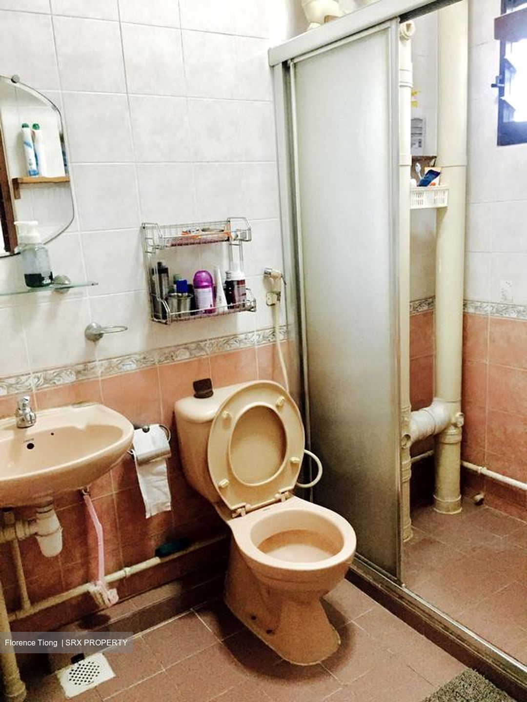 Blk 621 Senja Road (Bukit Panjang), HDB 5 Rooms #463240571